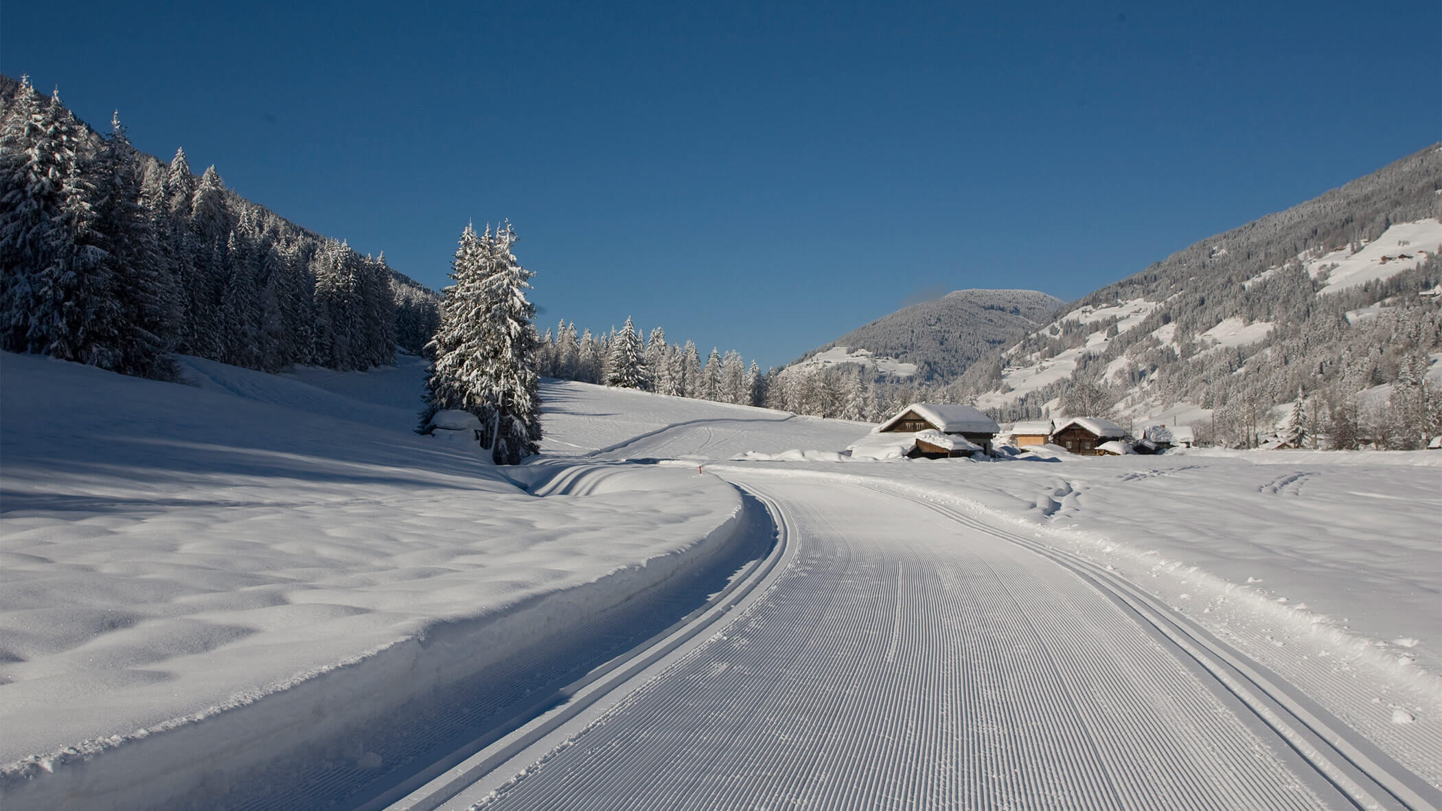 Langlaufloipe mit verschneiten Bäumen und Häusern - sil132 apartments